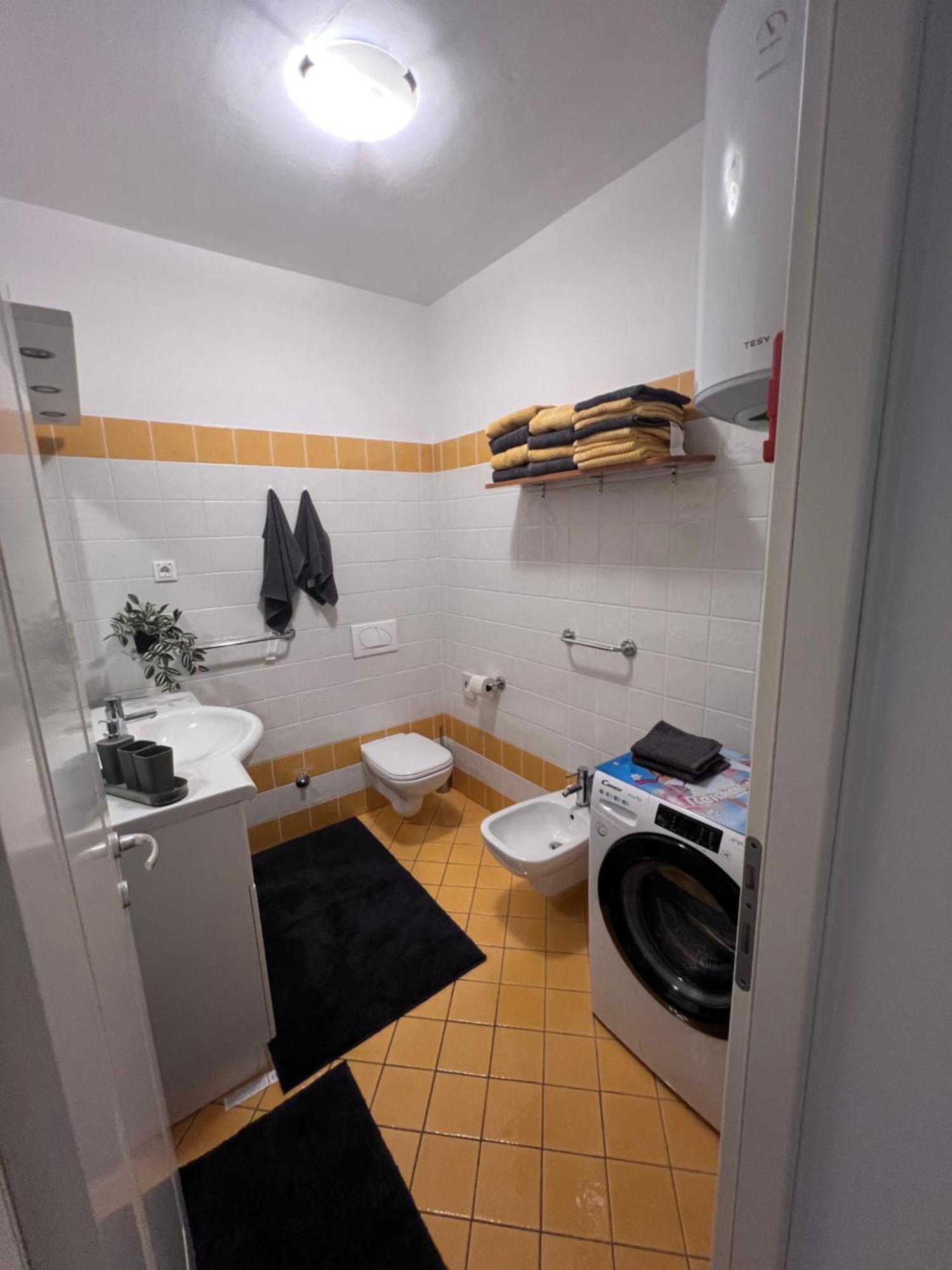 Apartment Aleks Tar-Vabriga Extérieur photo